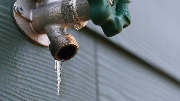 Best Plumbing Services Near Me  in Congress, AZ